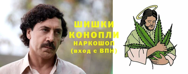 дмт Заводоуковск