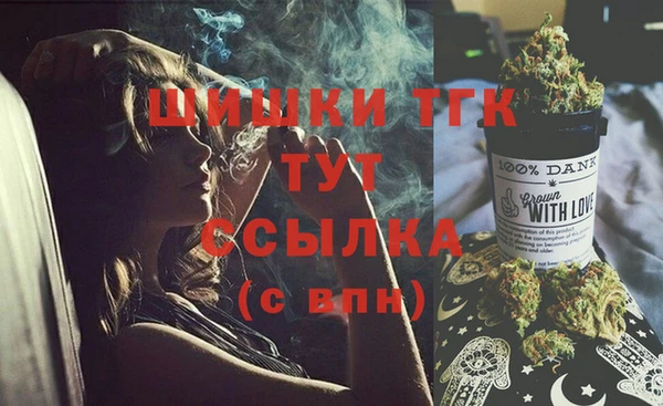дмт Заводоуковск