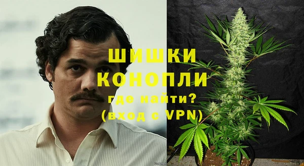 дмт Заводоуковск