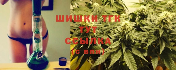 мдпв Заволжск