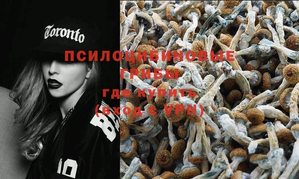 дурь Заволжье