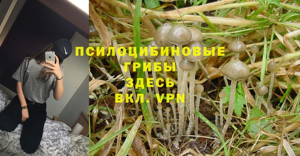 мдпв Заволжск
