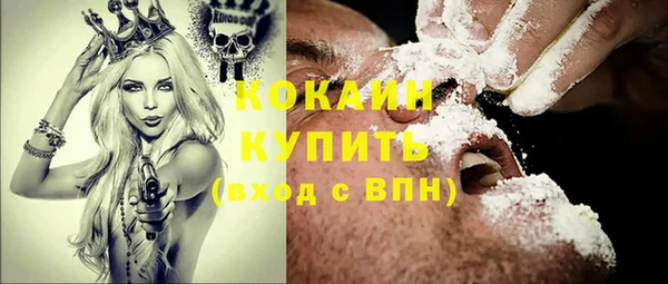 дмт Заводоуковск