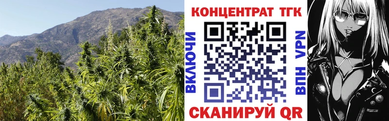 Купить где  Кадников  Дистиллят ТГК вейп с тгк 