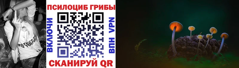 Псилоцибиновые грибы ЛСД  Купить закладки  Кадников 